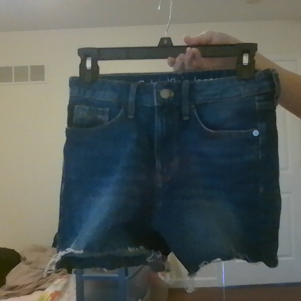 Blue Denim Calvin Klein Shorts